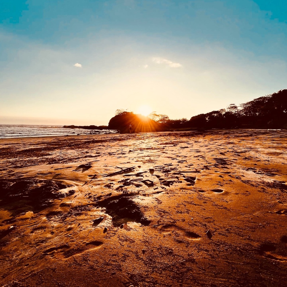 Hello there Poshers!